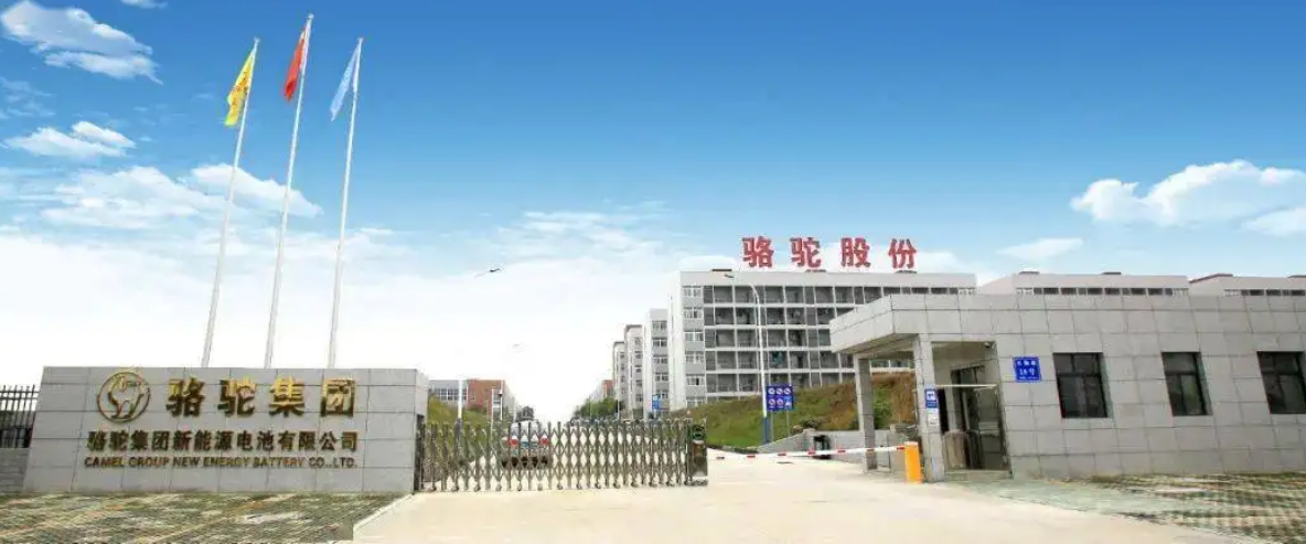 駱駝股份有限公司